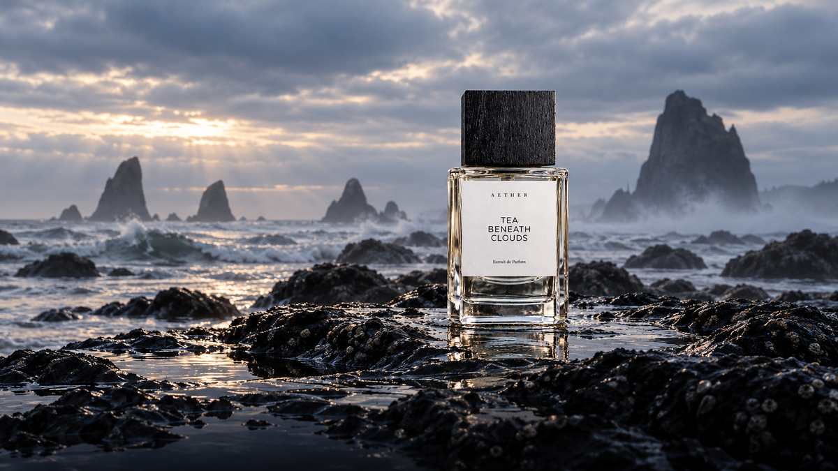 AETHER Tea Beneath Clouds Extrait de Parfum on coastal rocks beside the Pacific